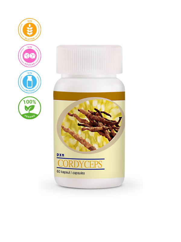 CORDYCEPS SINENSIS EN CÁPSULAS