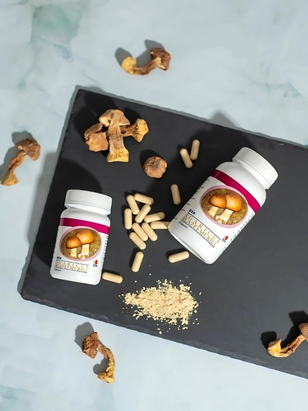 CHAMPIÑÓN DEL SOL 90UDS