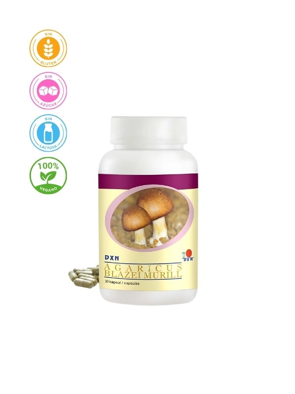 CHAMPIÑÓN DEL SOL 30UDS