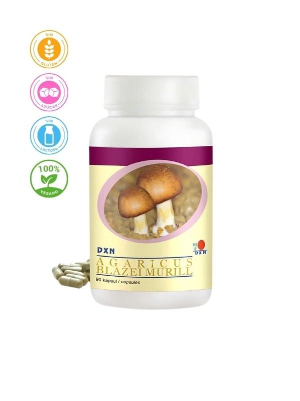 CHAMPIÑÓN DEL SOL 90UDS